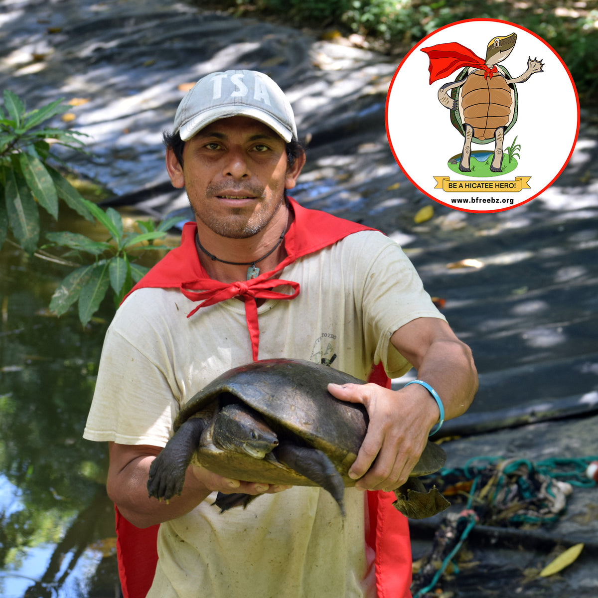 Hicatee National Hicatee Day! – Turtle Survival Alliance
