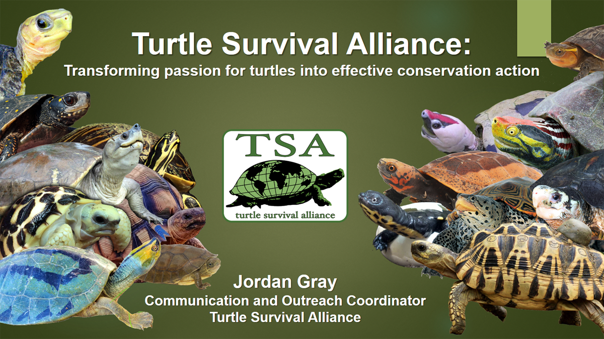 TSA Webinar #1! – Turtle Survival Alliance