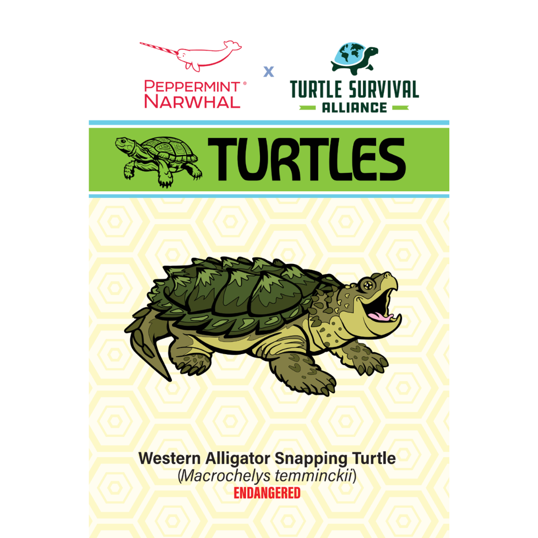 Ast Turtle Alligator Snapping Turtle Pin by Peppermint Narwhal – Turtle Survival ...