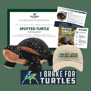 Open image in slideshow, Adopt-a-Spotted Turtle
