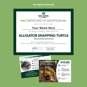 Open image in slideshow, Adopt-a-Alligator Snapping Turtle
