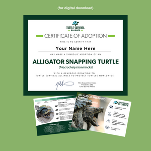 Open image in slideshow, Adopt-a-Alligator Snapping Turtle
