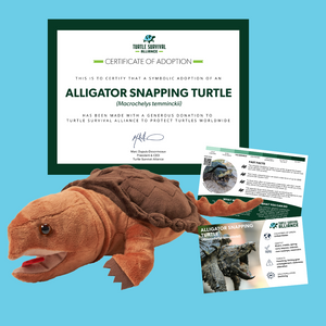 Open image in slideshow, Adopt-a-Alligator Snapping Turtle
